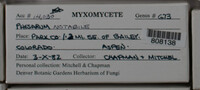 Image Associated With the Occurence